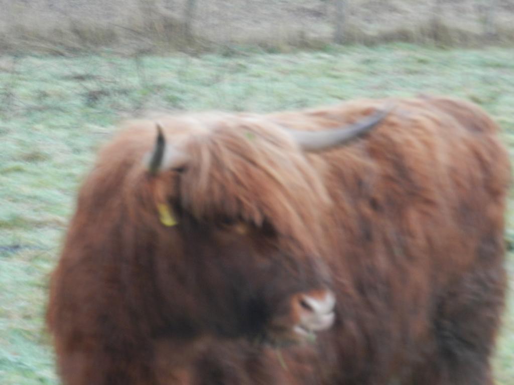 Clunebeg Lodge Drumnadrochit Esterno foto